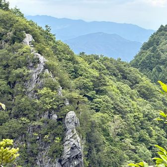 先ほど降りた馬鹿試しの白い岩場が良く見える
外から見ると絶対に行けないと思うけど、案外石灰岩が滑り難く、降りられます😁