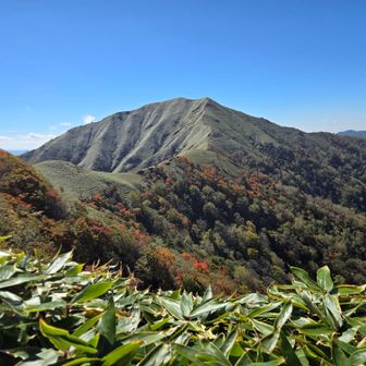ここからの次郎笈がベストショット！！