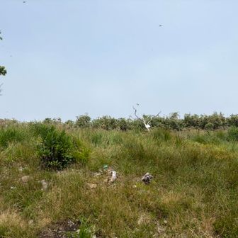 奥に看板があったので、
近づいてみると、
草むらが
ガサガサ
と。。。
動物いるのかな？
近づくの諦めました😣