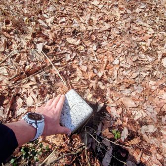 一先ず撮ってと...