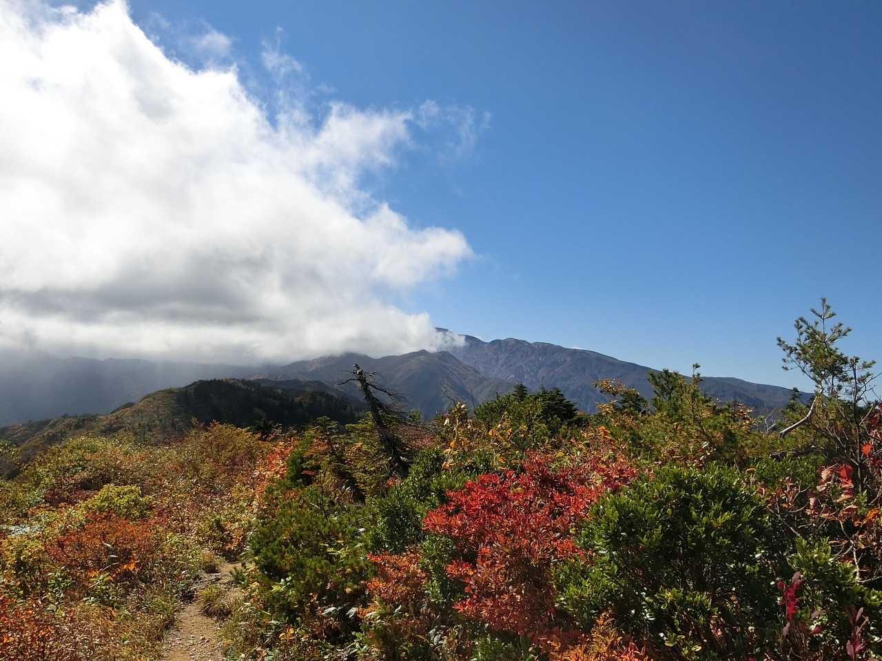 三方岩岳-馬狩荘司山-野谷荘司山 往復コースの写真