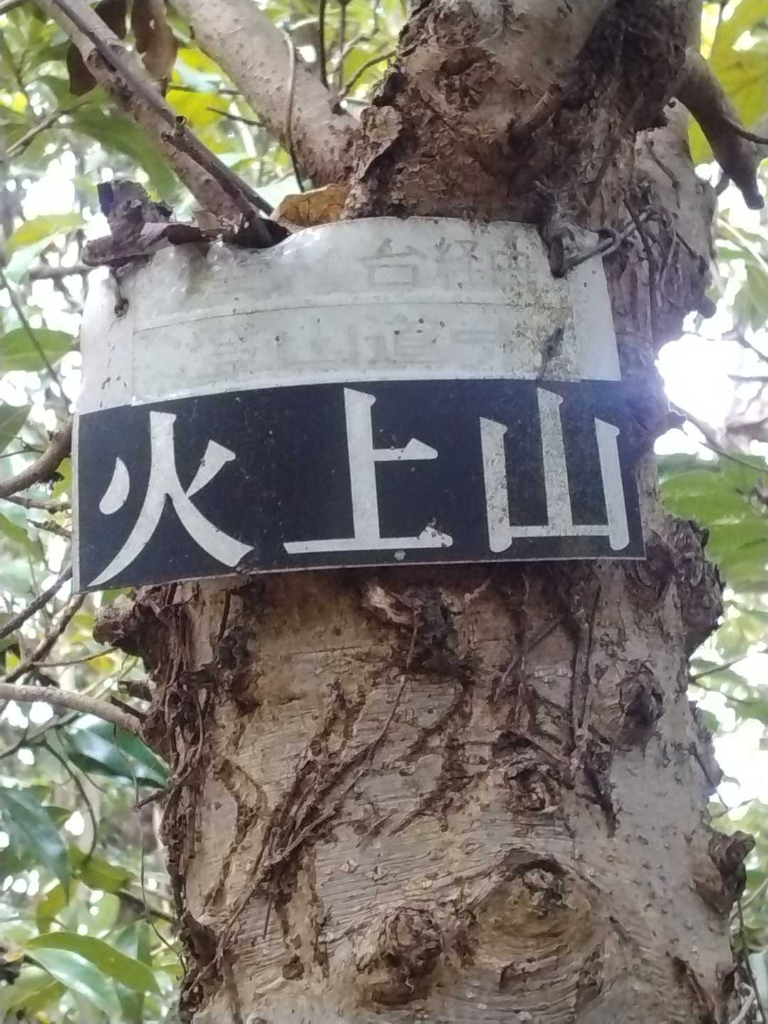 今日の一座目の山に到着しました。展望は、良くありません。
