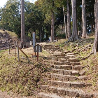 旧城道の東登山口から入って行きます。