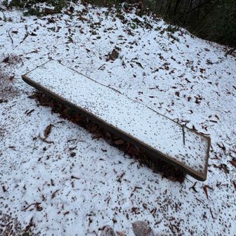 今年もベンチに、