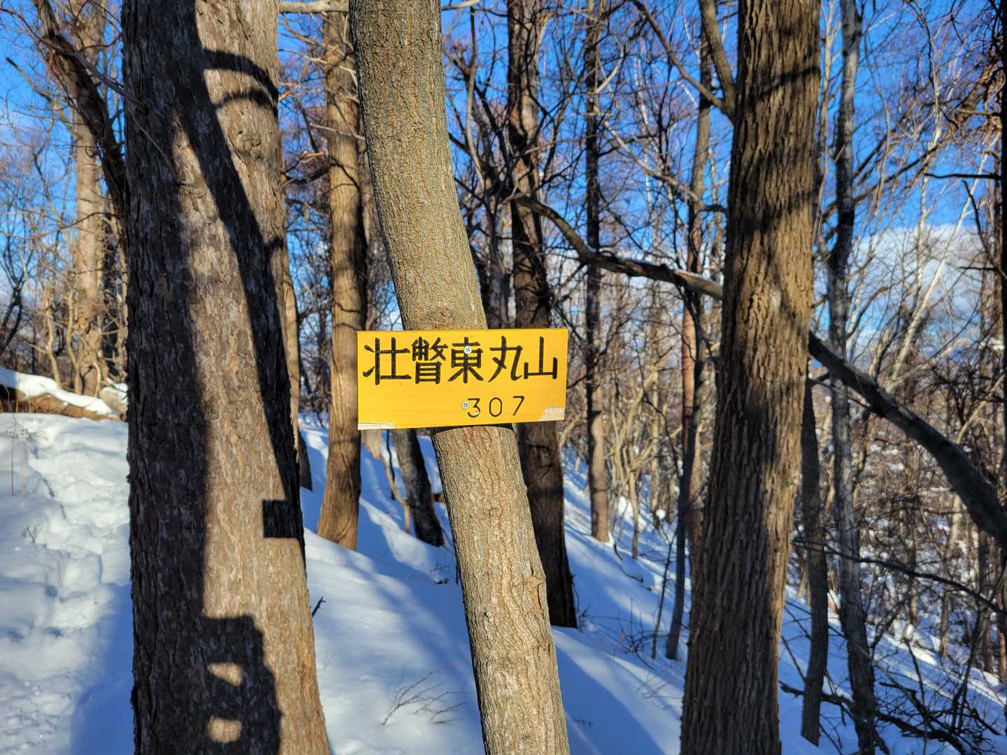 登頂っ❗
やはりあったか🟨