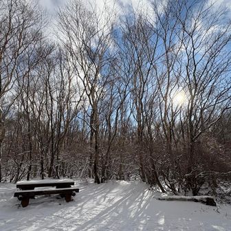 4合目到着
まだ穏やか
少し休憩してすぐにGo