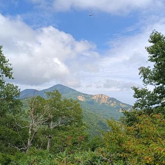 青空が広がってきたよ