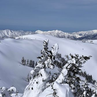 中門岳に続く尾根筋。トレース見えない。後ろは左から未丈ヶ岳、毛猛山、守門岳