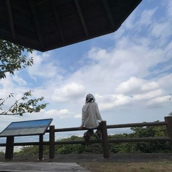 無風