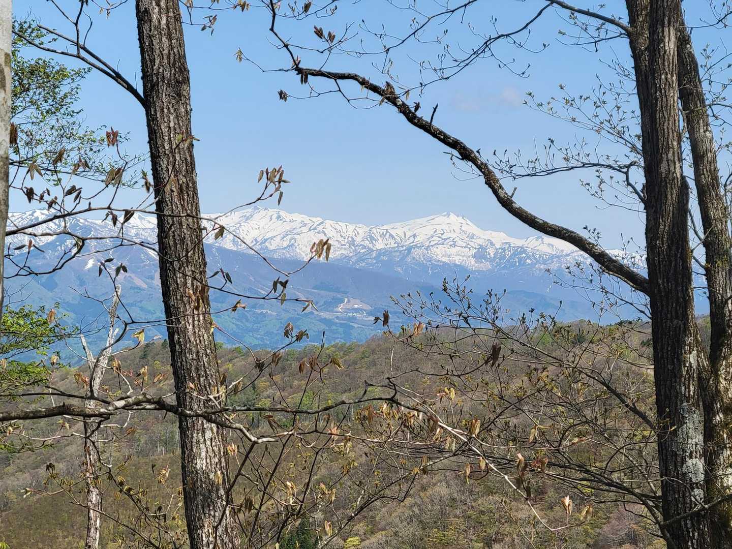 登山道からも見える白山