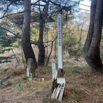 やっと来ました。何やったら車でも良かったんですけどね。