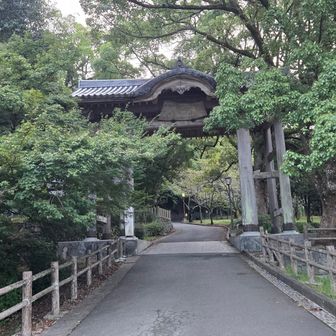 ここからスタート