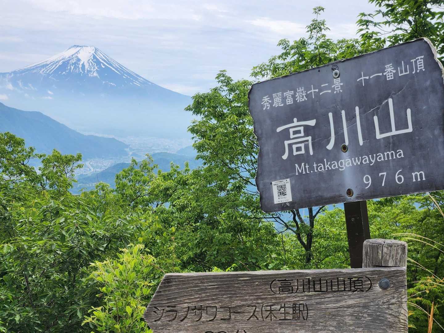 この展望‼️期待以上。
