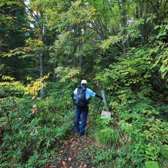 登山口標柱
ここからブナ林を歩きます
あちさん初めての10km fightです✨️