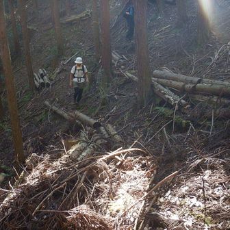 登山道に戻っています