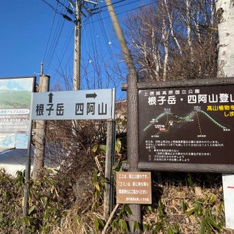 ここね
最初の根子岳登山口