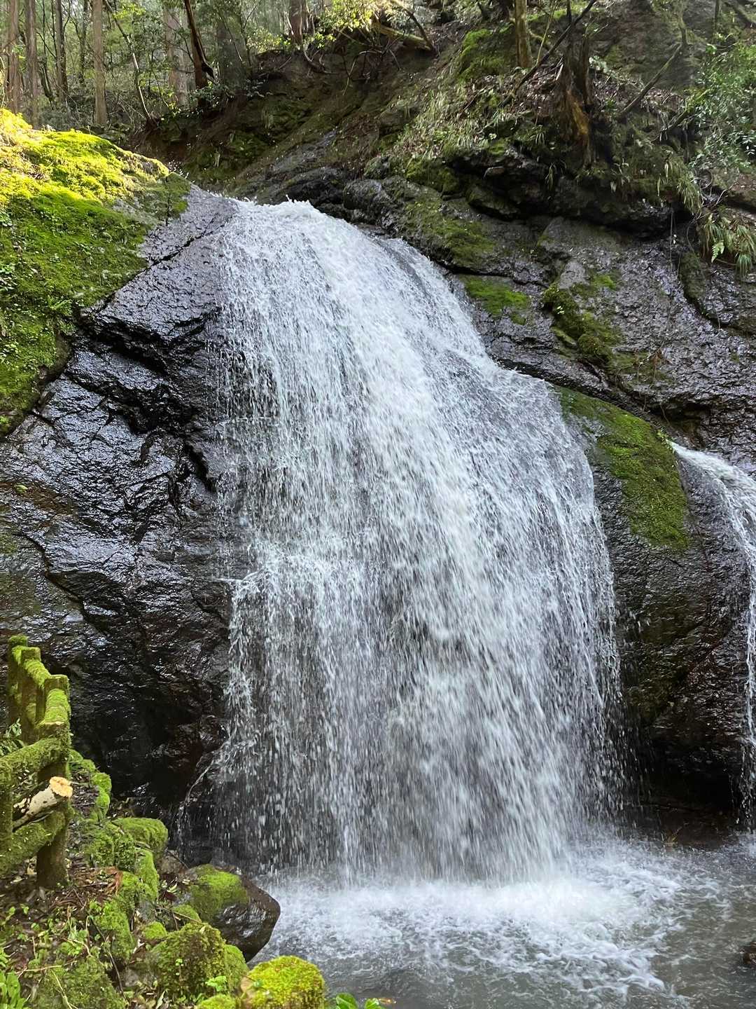 権現山 周回コースの写真