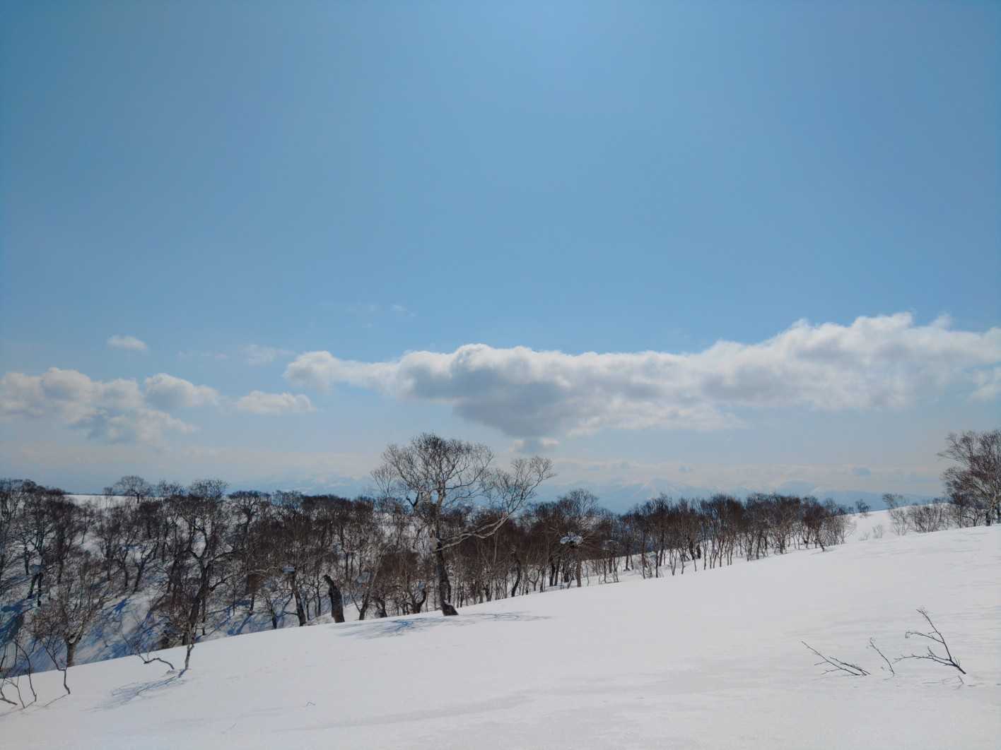 熊追山の写真