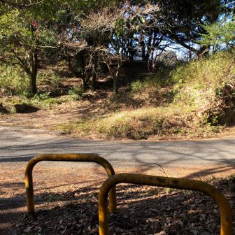 林道に出ました
横断して向こうの山道へ入ります