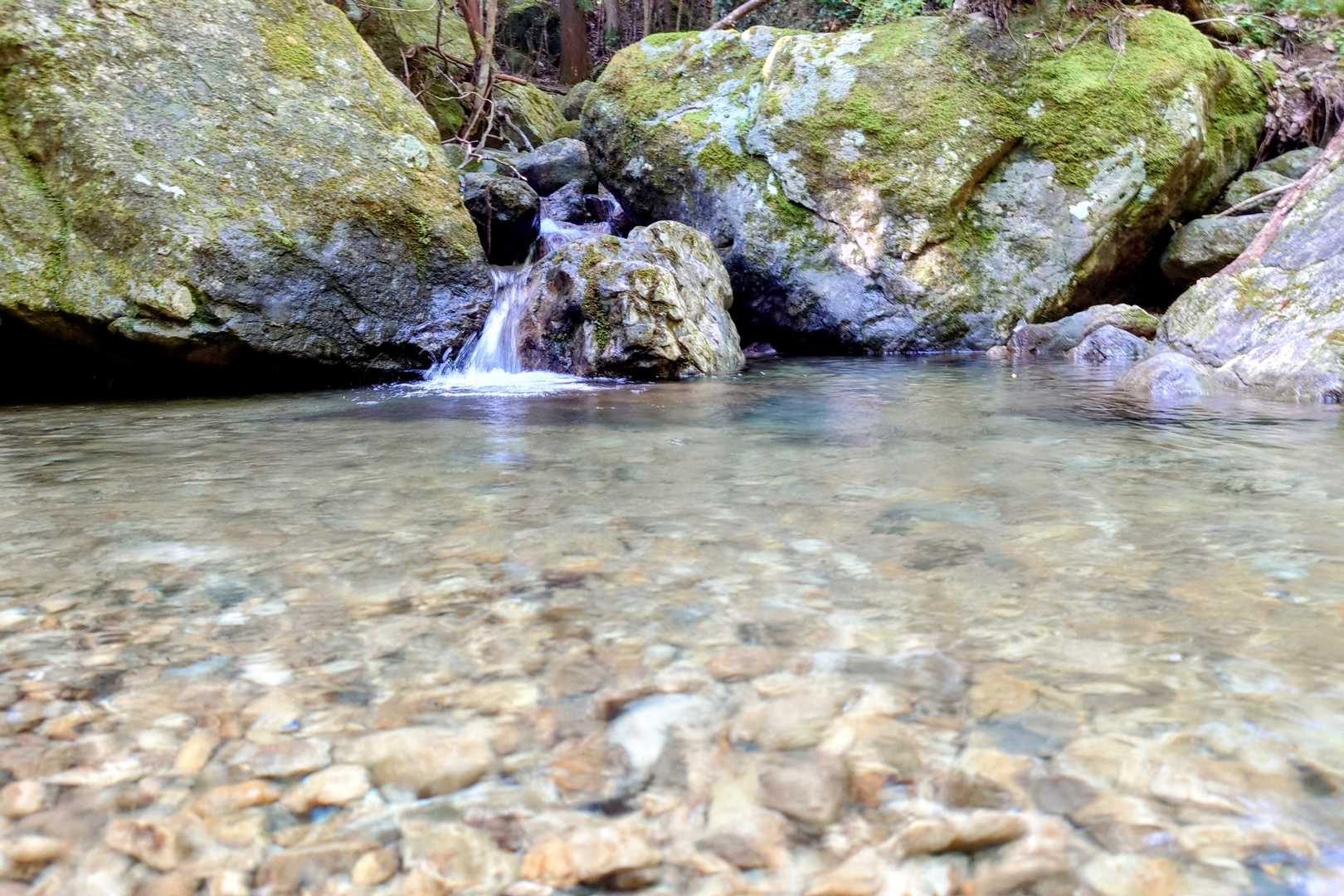 ここの恐ろしさは水遊びし過ぎてペースが上がらないこと🐏