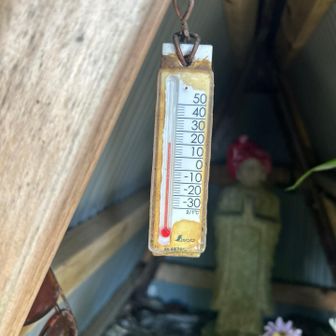 12℃くらい？