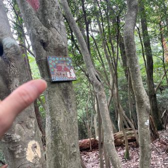 熊山を通って
まだ山頂には行かずに夢見庵へ⤵️