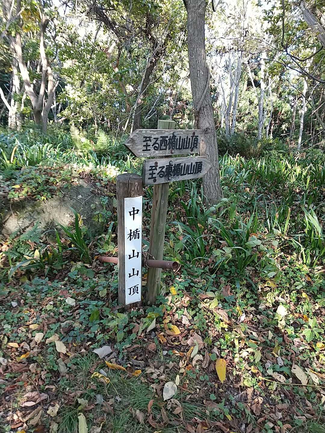 速攻で下山し中楯山山頂。眺望は無し。
