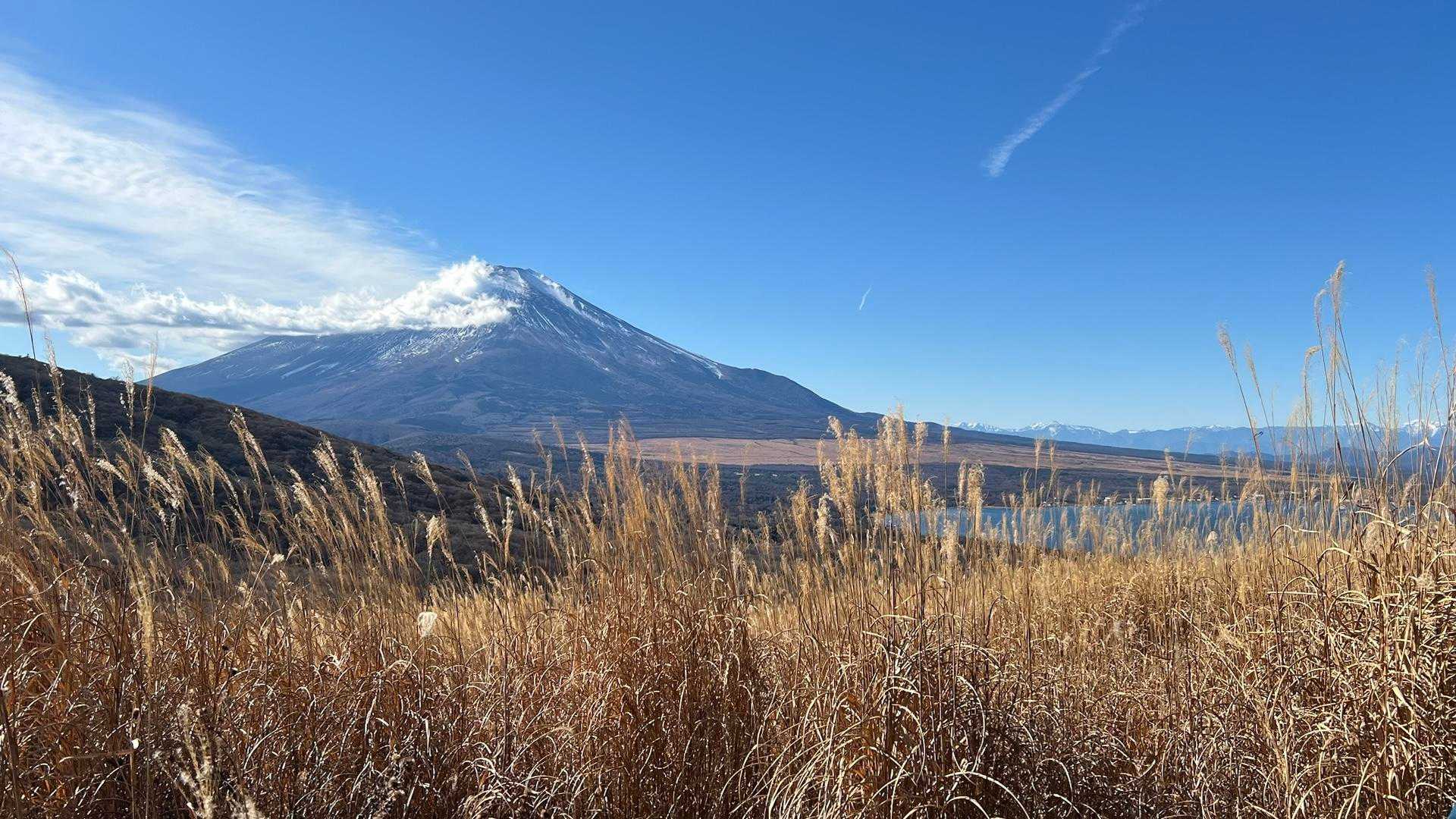 直ぐに林間抜けてすすき原。
数少ない富士山の裾野から全容が見えるこのスポットに来たかった。