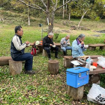 姿勢がいいレフさん