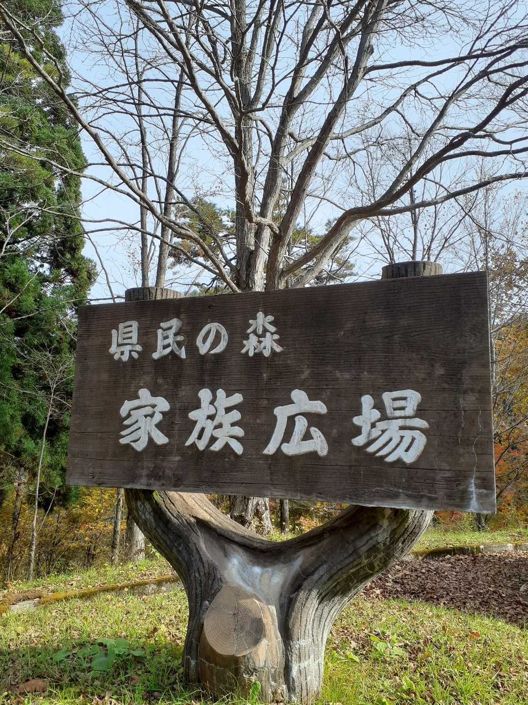 東黒森山 周回コースの写真