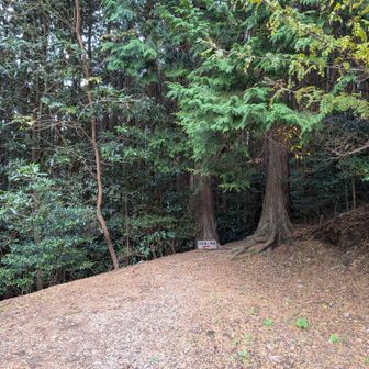 YAMAPに載ってた道を進むために一旦登りましたが、その先から降りる道はロープが張られていていけなくなってました
無理すればいけるのかもしれないけど、林道を歩いたほうが無難です