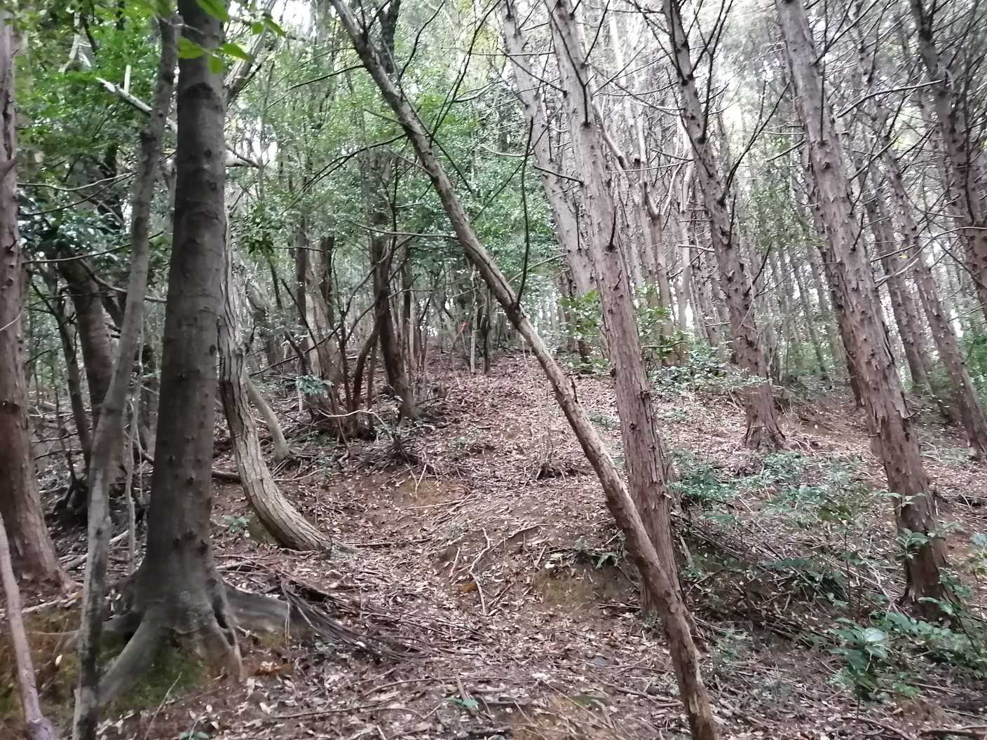 最初はこんな感じです‼️😳