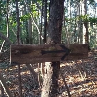 これも　案内板だった