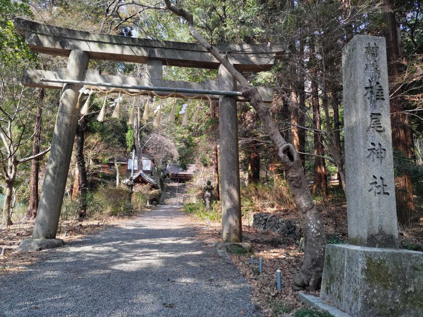 椎尾神社を通り‥