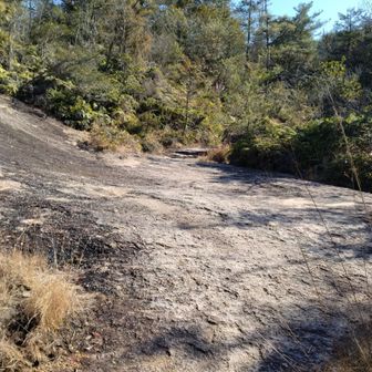 砂かと思ったら岩でした