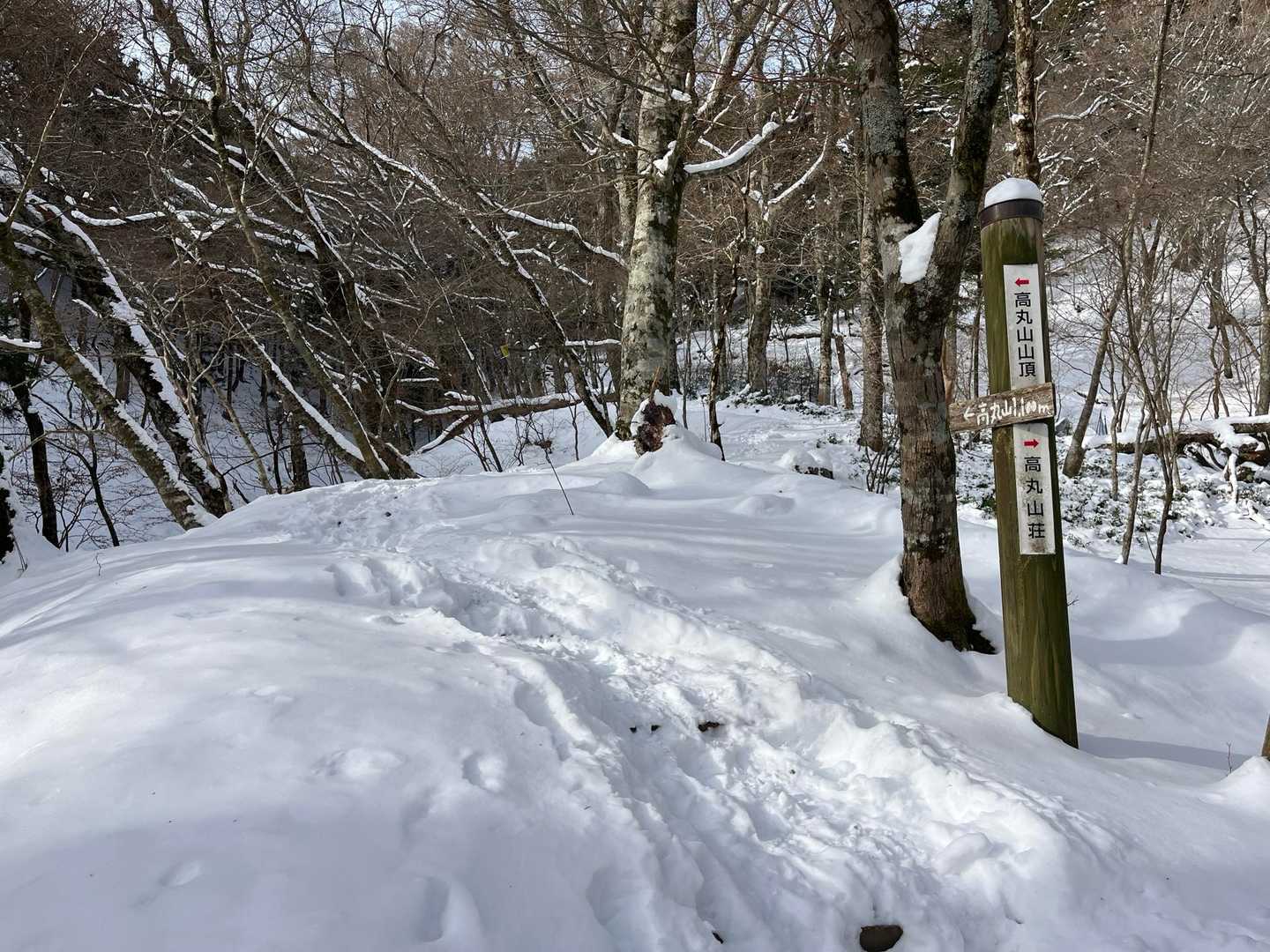 分岐