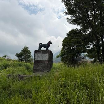 着いた〜！
無事、下山ーーー

ザック下ろして靴を履き替えたら
なんと‥急に雨が降ってきた🫪☔️☔️☔️