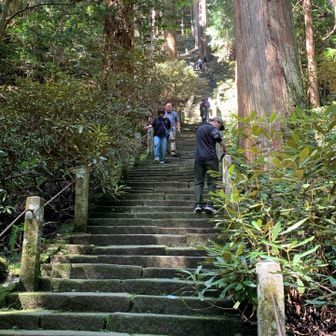 奥の院への石段　　これが長い