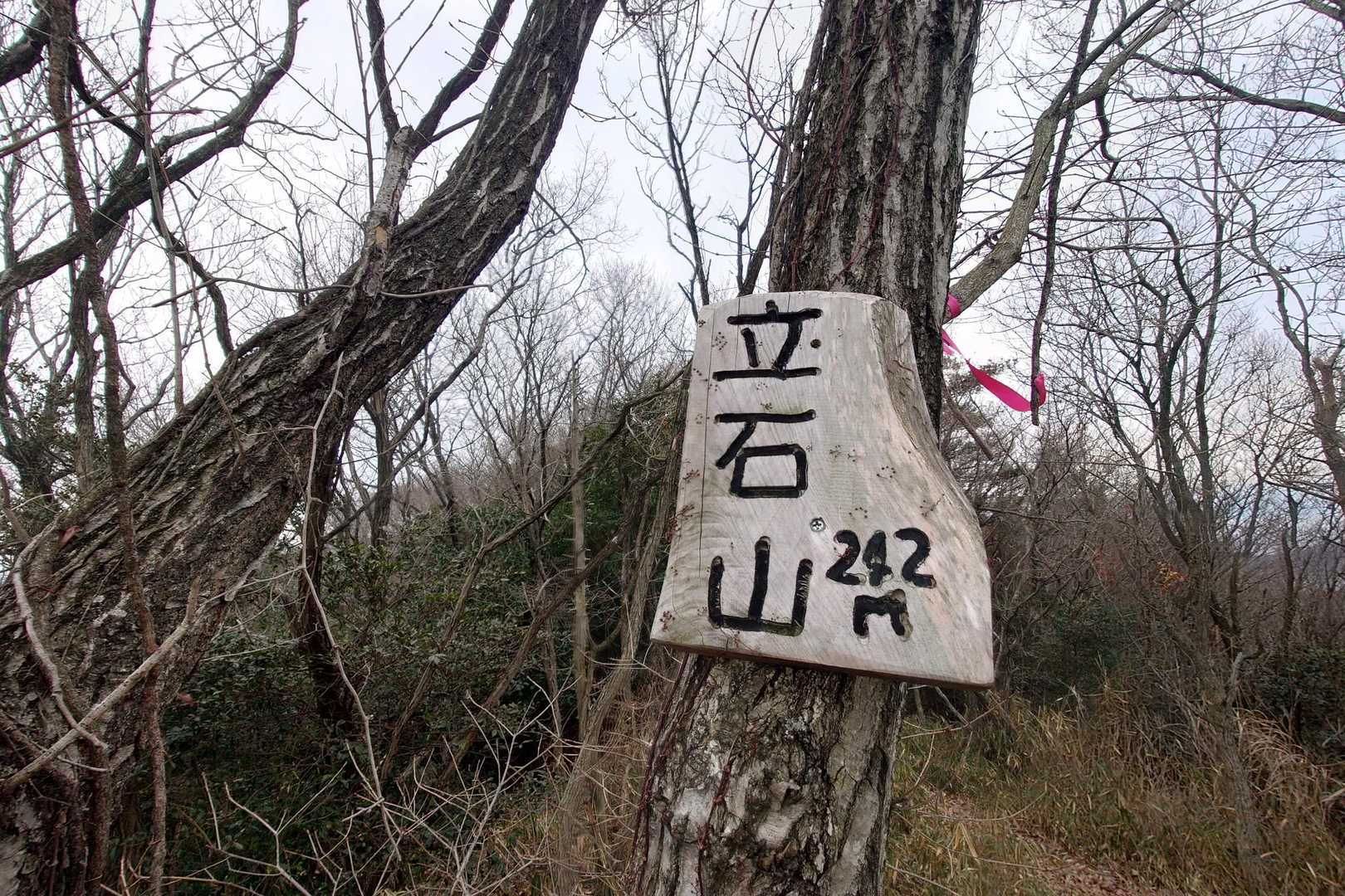 長坂登山口-立石山-横峯山-天神山 周回コースの写真