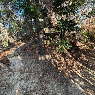 判りづらいヤマザクラコース分岐