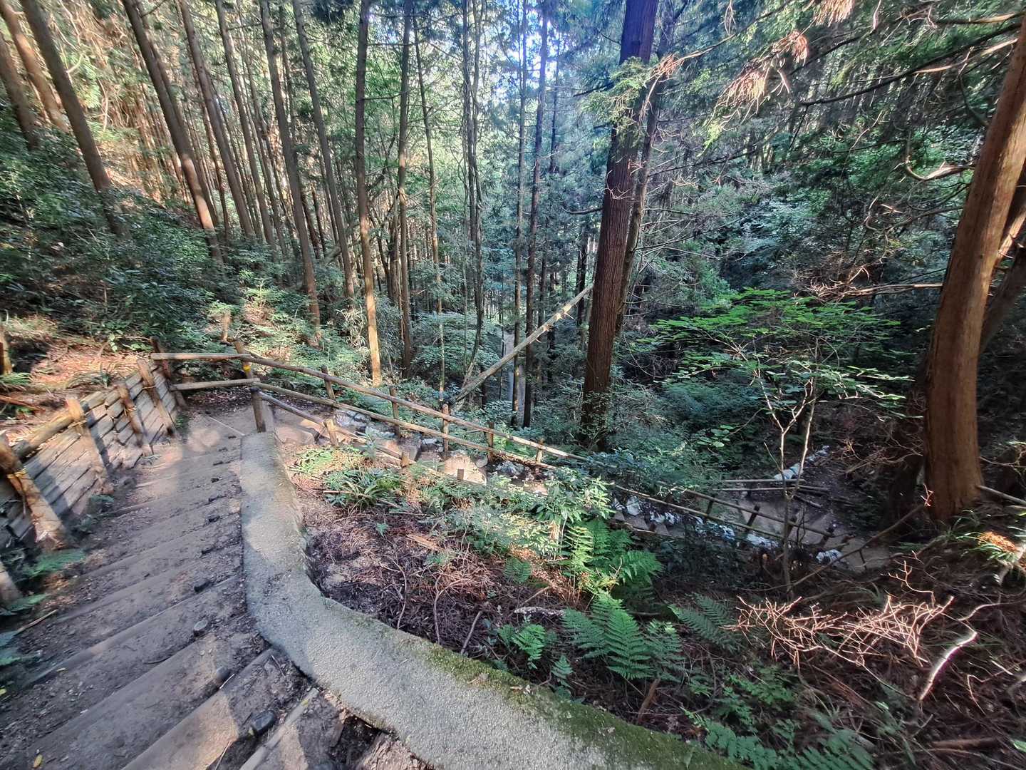 👣