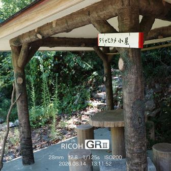 タイやヒラメ小屋。