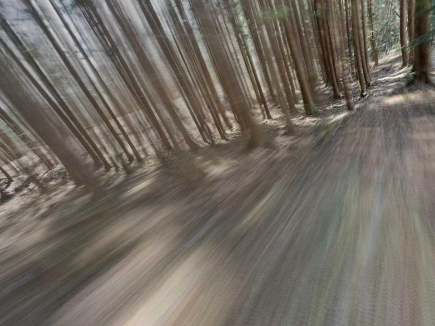 ｼｭﾀﾀﾀﾀｯ🏃🏻💨
斜めに欽ちゃん走り　(● ˃̶͈̀ロ˂̶͈́)੭ꠥ⁾⁾