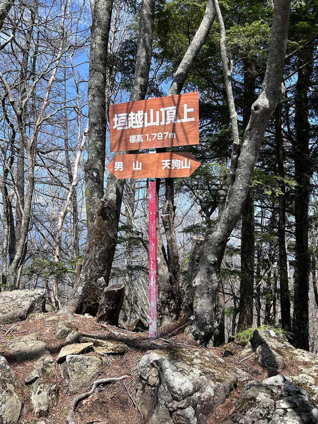 馬越峠-天狗山-垣越山-男山 縦走コースの写真