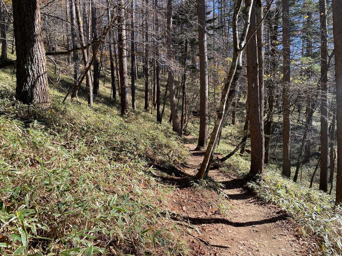 大菩薩嶺往復 | 富士山・南アルプスの大絶景に稜線歩き。初心者日帰りおすすめの写真