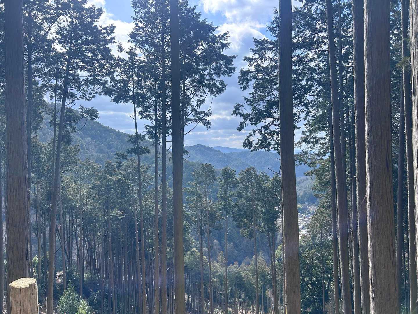 天気はええ感じ☺️