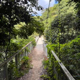 天王吊り橋で、菊水山方面