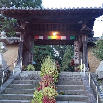 「慈尊院」まで来た～