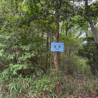 銀峰到着👏
眺めはナシ😅雄岳へ👉
