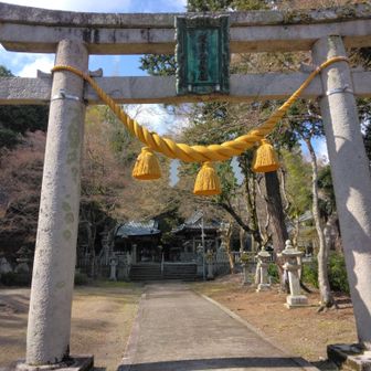神社。本来はここが登山口とされてるところかな。